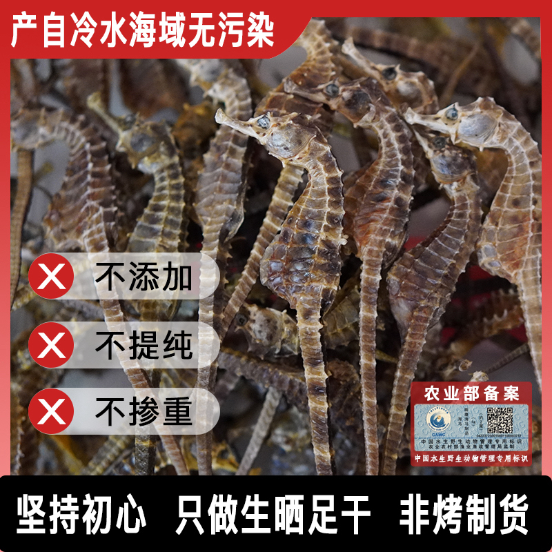 【正品保真】海马干货泡酒煲汤料茶公母搭配源头直发海马泡酒专用