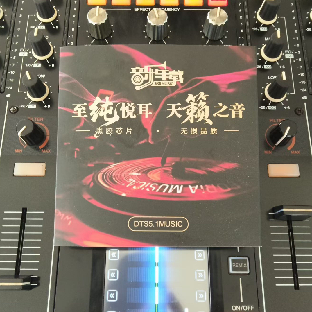 热门精选 无损正版授权汽车专用带歌词高品质