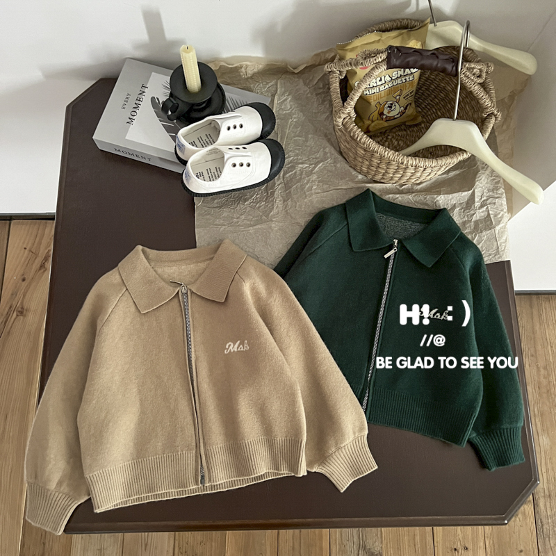 【现货】郝叔童品秋季新款男童2025时尚高货百搭男宝开衫毛衣HS5303