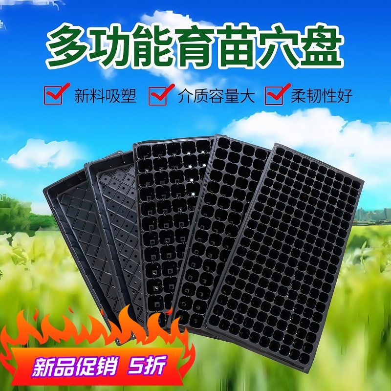 育苗盘加厚穴盘 秧苗扦插托盘营养杯蔬菜无孔育苗盆 特价家用批发