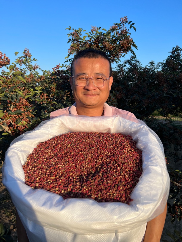 陕西富平大红袍干花椒颗粒麻香味浓100克250克500克1000克