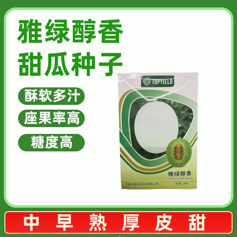 雅绿醇香甜瓜种子玉菇种子厚度酥软甜瓜300粒