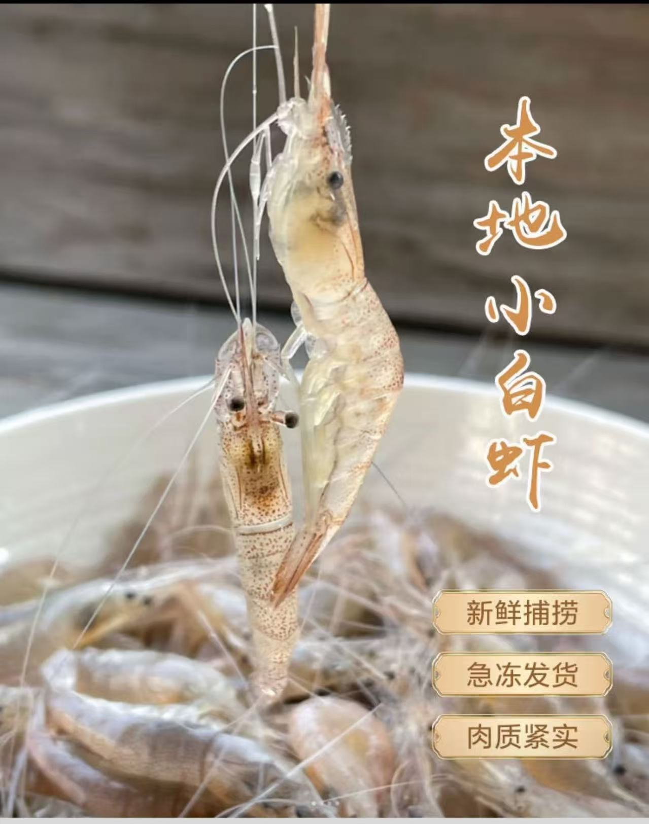220头左右一斤海水小白虾自然生长活虾急冻晃虾白米虾
