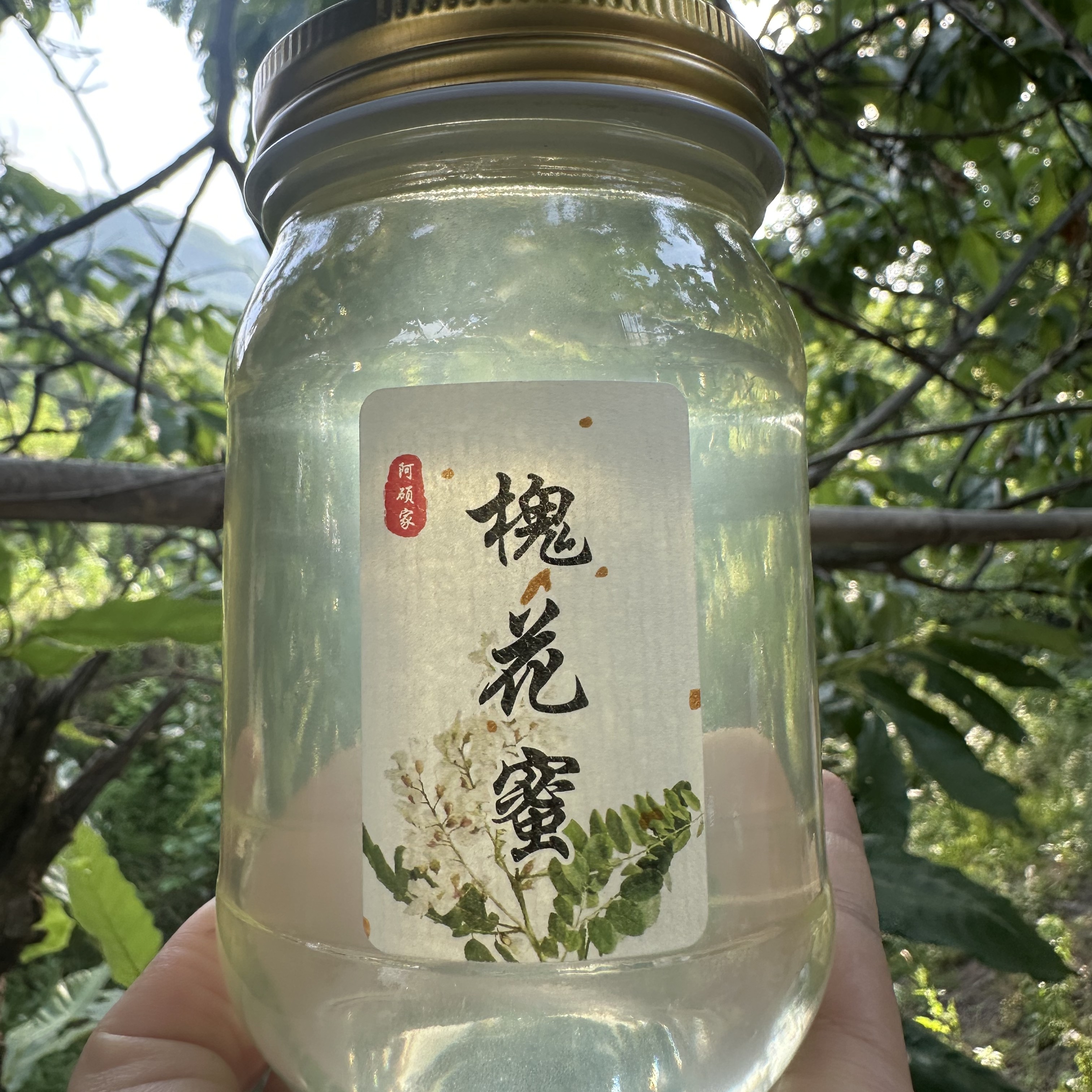 2025年槐花蜜  蜂蜜  洋槐蜜  42度 无加工 玻璃瓶  500克