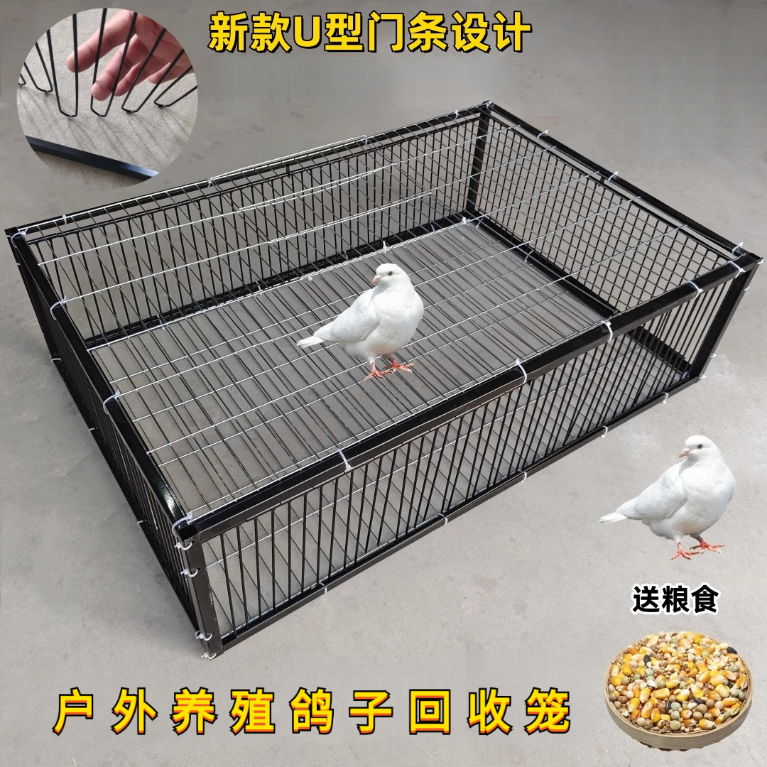 养殖专用家用屋顶天落笼养殖回收鸽子笼活络撞门信鸽自动门鸟笼