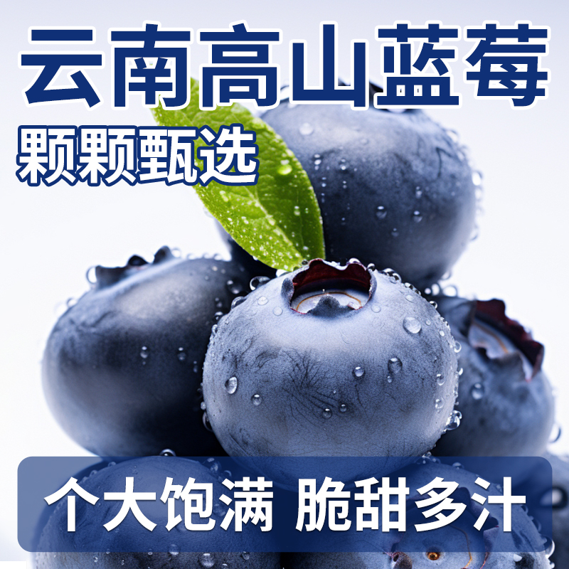 S3【顺丰京东】云南脆甜蓝莓鲜果应当季多汁水果现摘现发整箱大果