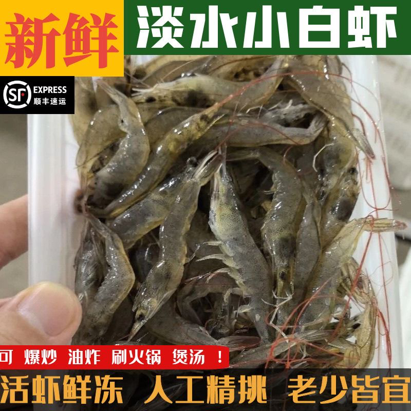 【顺丰】3斤活冻小白虾现捕新鲜急冻小白虾海白虾小青虾批发包邮