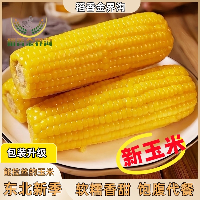 【稻香金界沟】【高阻隔包装袋】2025新季黄糯玉米单根250g*10根香甜
