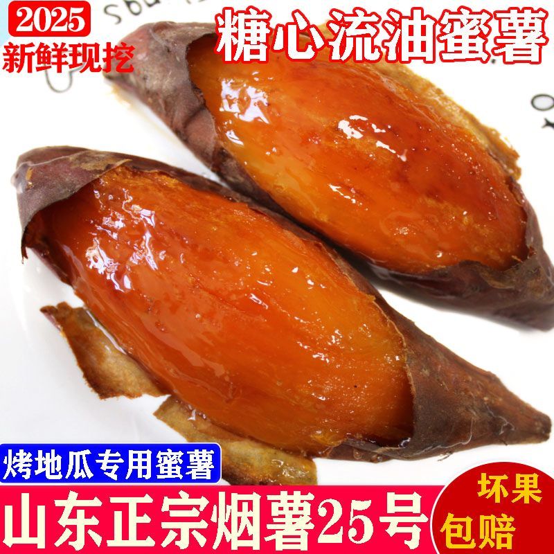山东烟薯25号蜜薯净重5斤新鲜糖心番薯中小果软糯香甜地瓜烤红薯