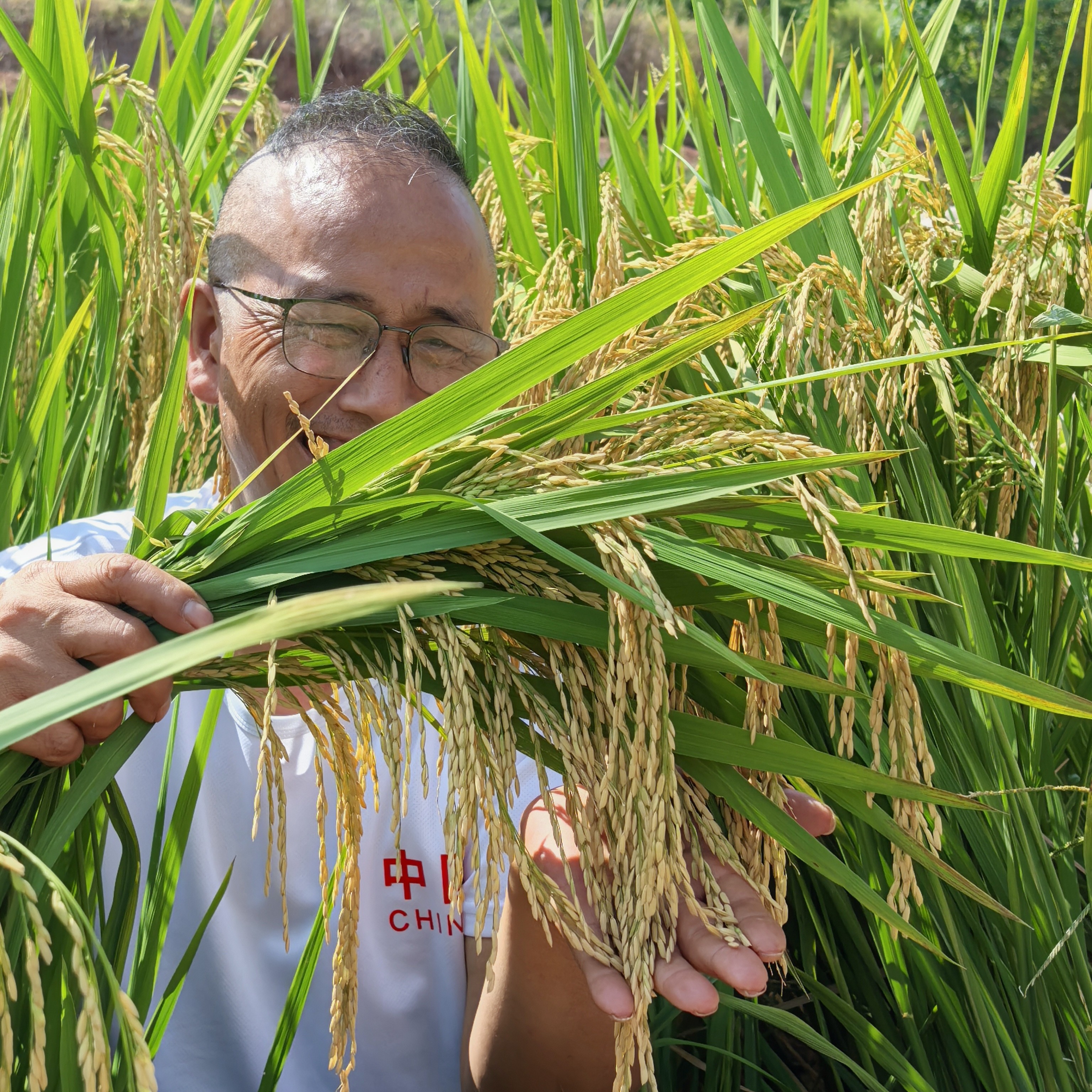 2025年农家新米农不抛光不打蜡农家种植现磨【代寄】