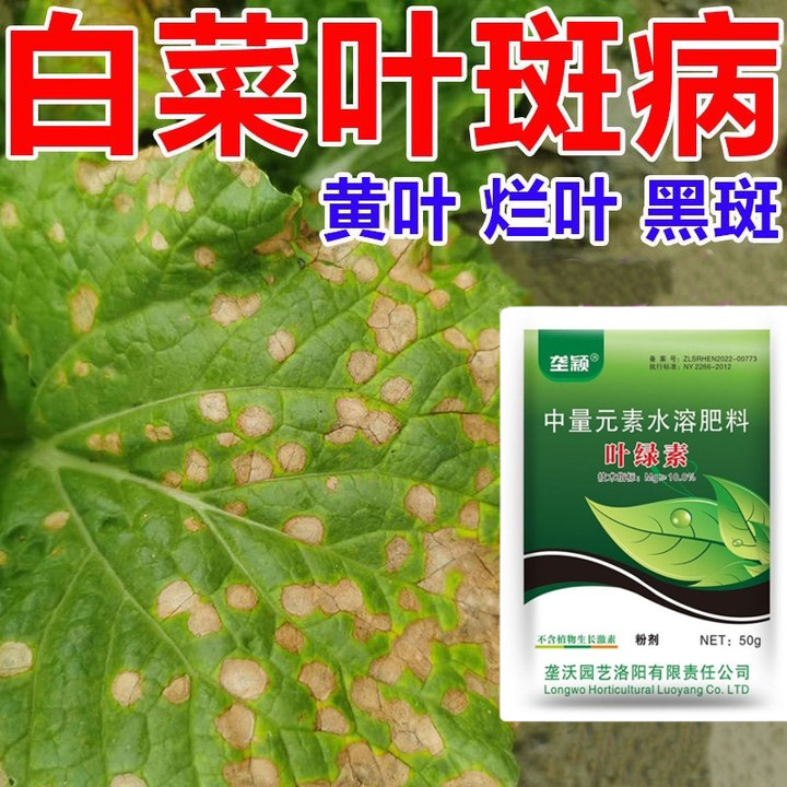 白菜叶斑病专用除菌剂白锈病白点白叶病蔬菜病菌清白菜专用肥料