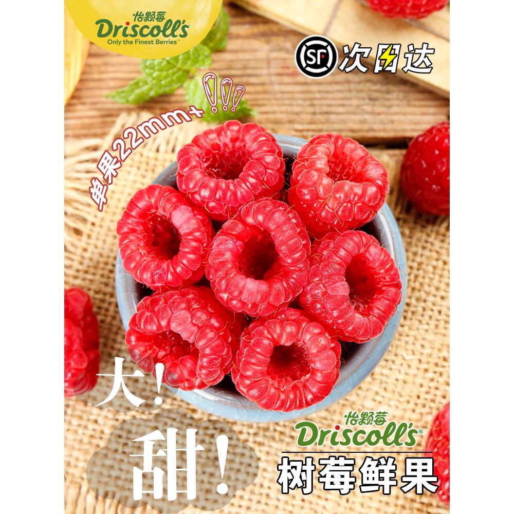 云南红树莓新鲜水果怡颗莓覆盆子鲜果罕见的热带树梅稀奇古怪大果