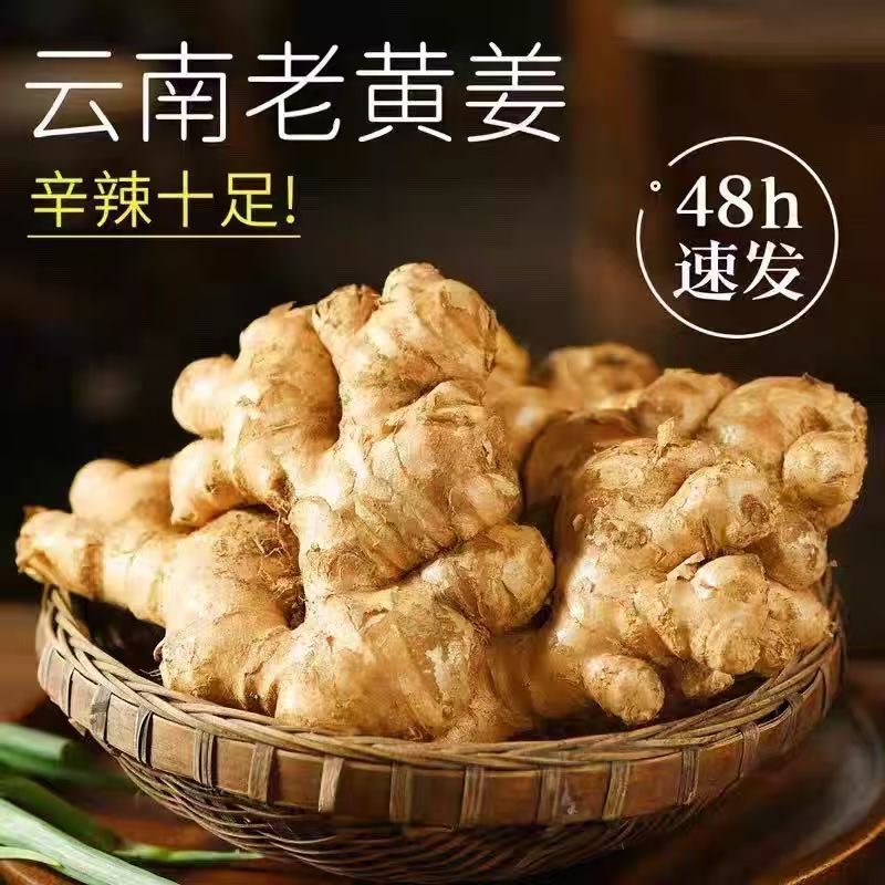 云南新鲜现挖小黄姜 一年半老姜