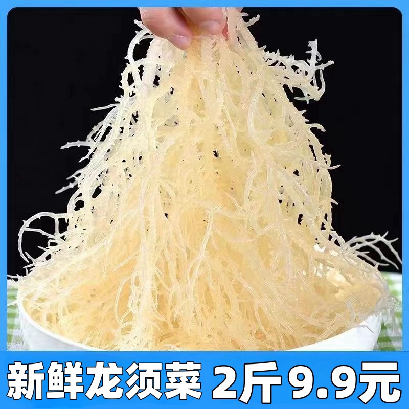 海边直发2斤龙须菜鹿角菜凉拌菜潮菜石花菜长寿菜海藻麒麟菜零食