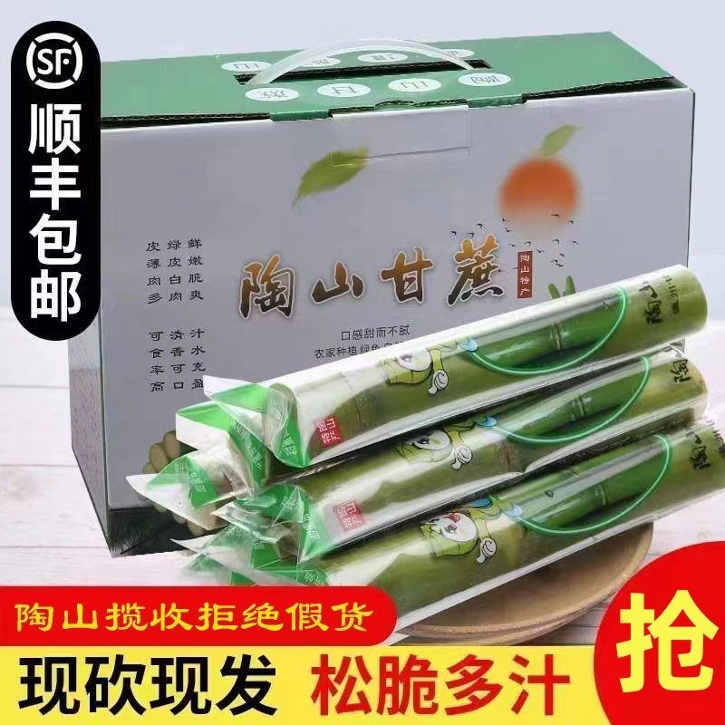 顺丰京东陶山甘蔗新鲜青皮绿皮甘蔗薄皮新鲜孕妇水果清脆爽口饱满