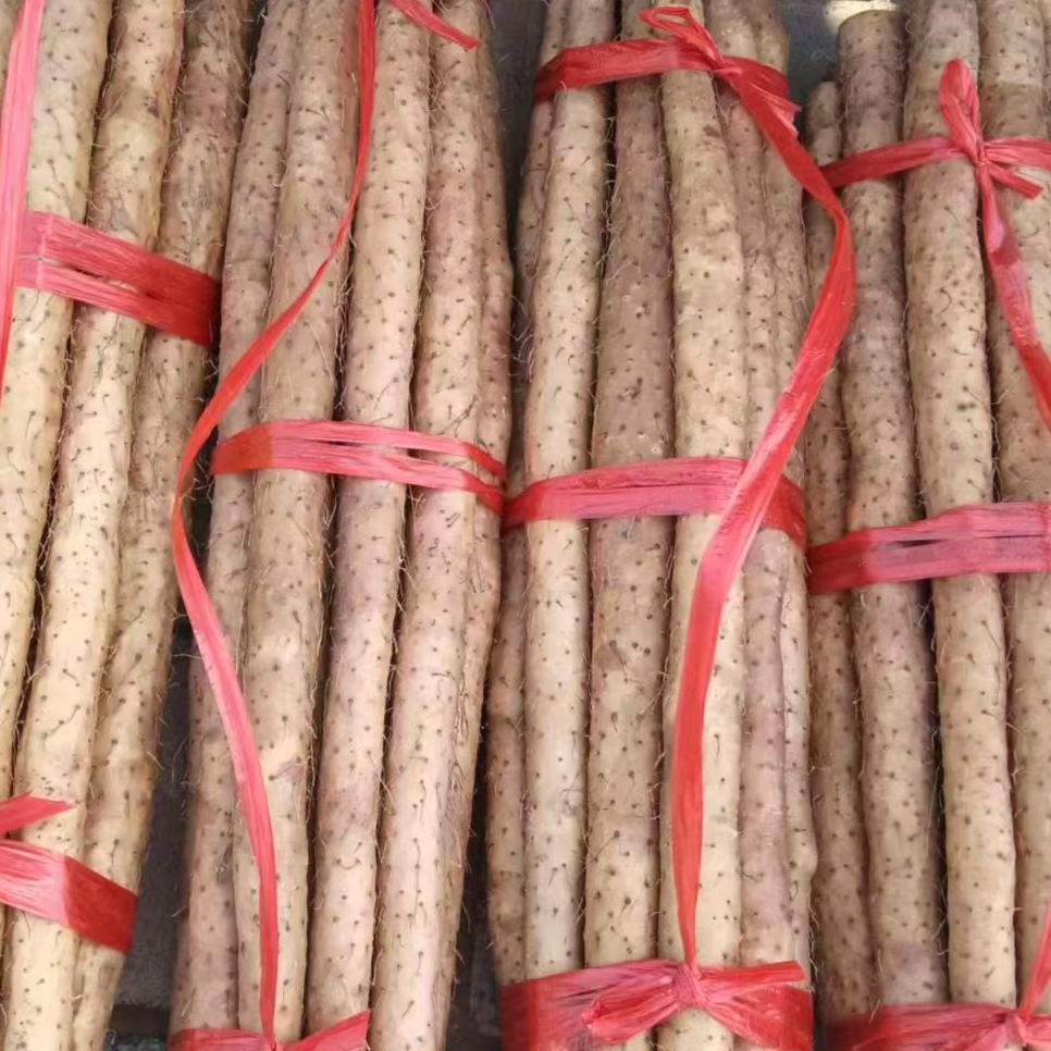 河北正宗安国小白嘴山药3市斤新鲜山药软糯香甜产地直发宝宝辅食