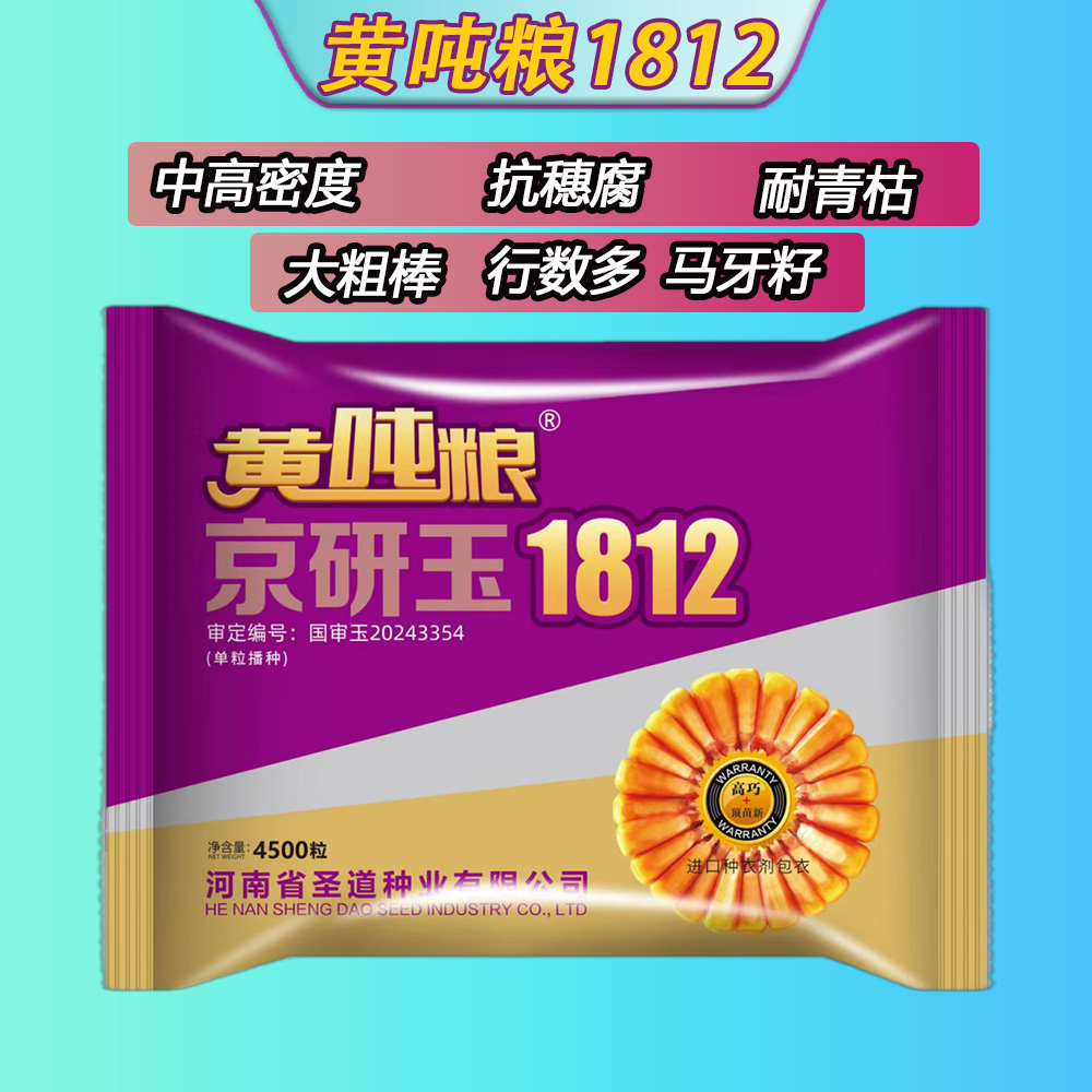 黄吨粮  京研玉1812 （创收老郭）黄金品质中密度马牙齿行数多