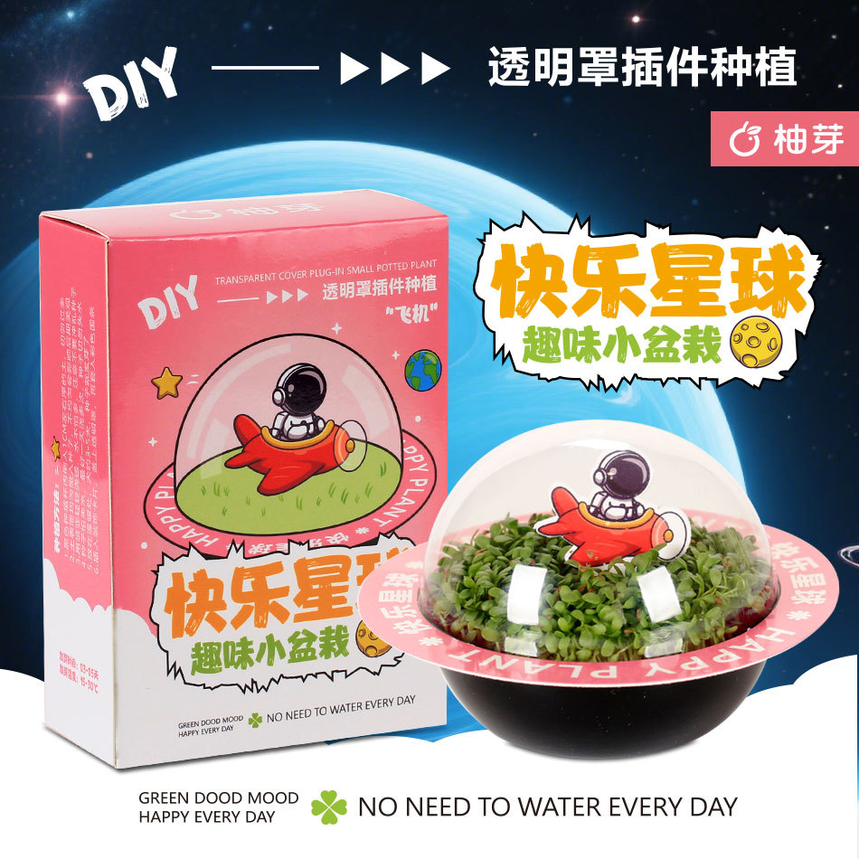 快乐星球迷你植物小盆栽桌面学生diy种植绿植幼儿园礼物花卉种子
