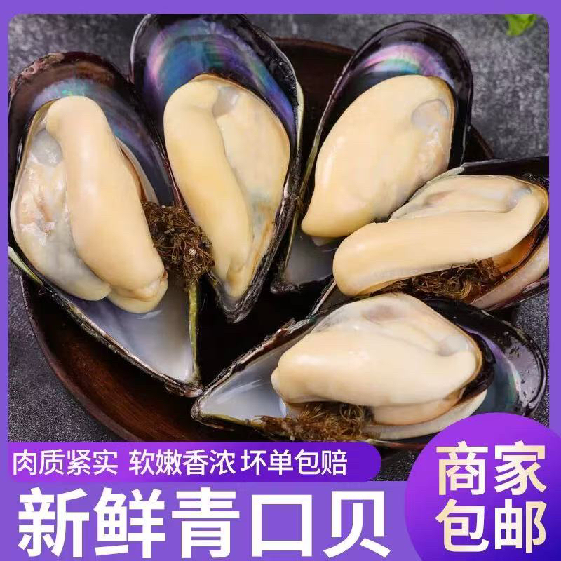 连云港发货 青口贝 鲜活发货 淡菜 非小海虹 顺丰斤 5斤 10斤