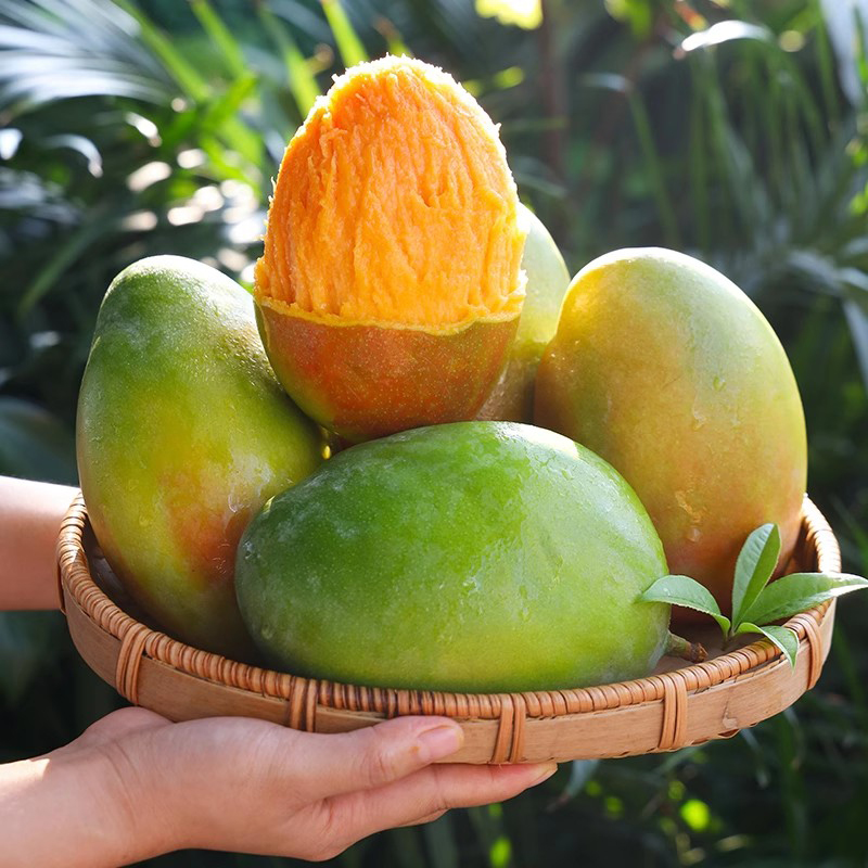 【情之甄】四川攀枝花凯特芒带箱约4斤单果300g+多仓发货放软食用