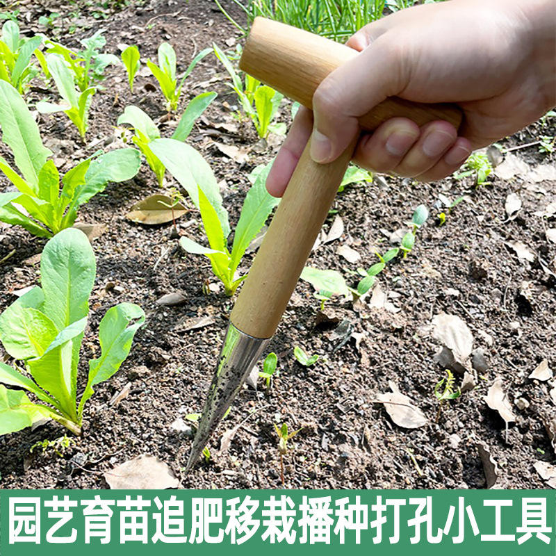播种打洞器移苗追肥不锈钢园艺种菜育苗种花播籽器工具种苗
