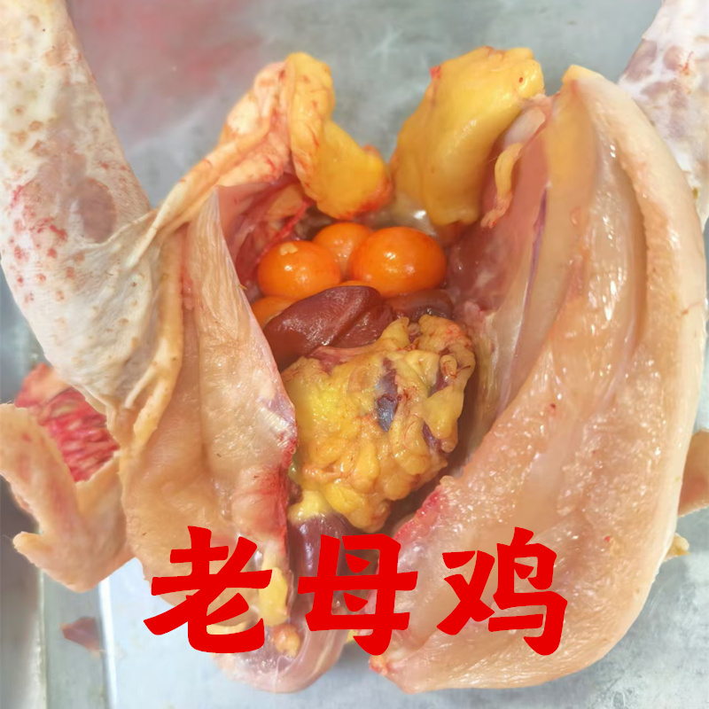 大秀子美食：农户散养黄油老母鸡 土老鸭