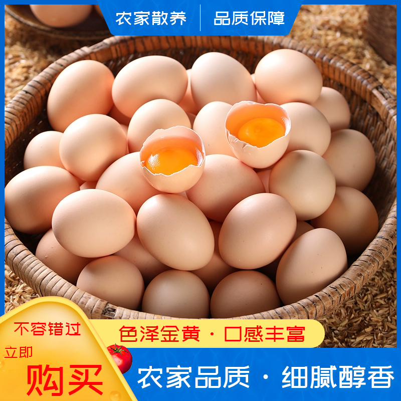农家散养正宗新鲜健康土鸡蛋纯五谷喂养走地鸡蛋现捡现发五十枚