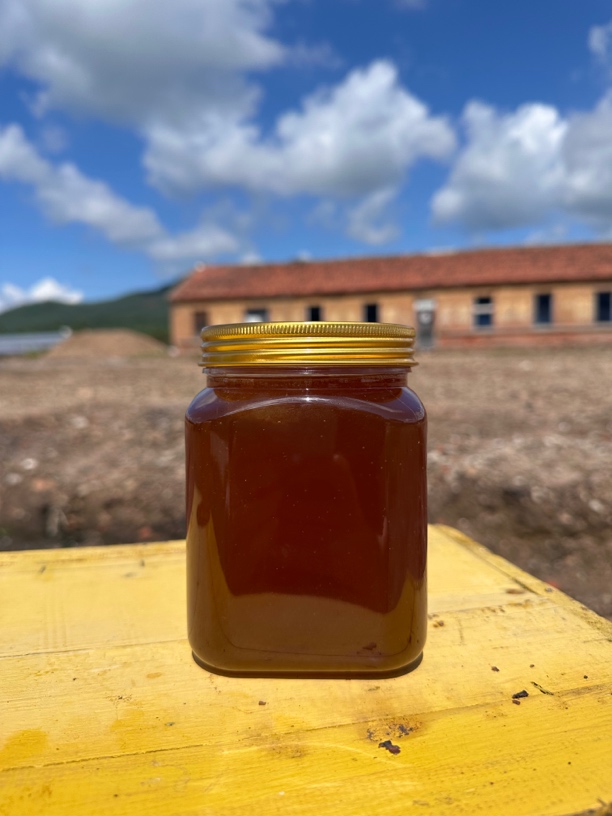 成熟土蜂蜜蜂蜜古法酿造可泡水喝伊春成熟百花蜜