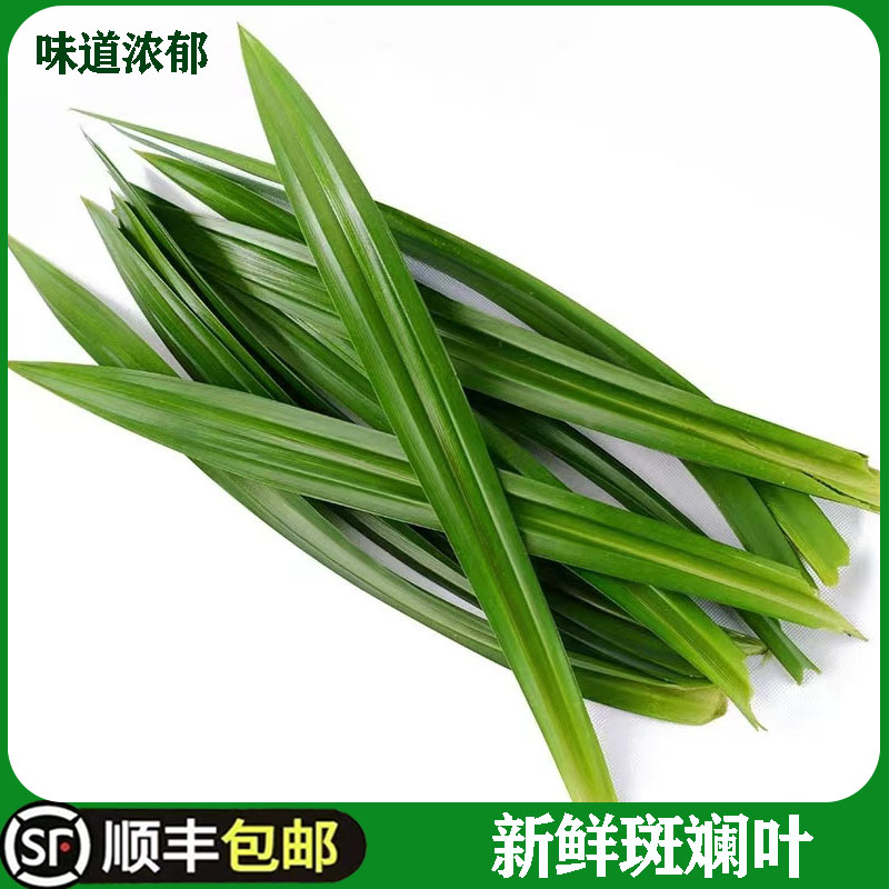 斑斓叶新鲜食用香兰叶千层蛋糕原料摆盘装饰烘焙奶茶商用班兰叶子