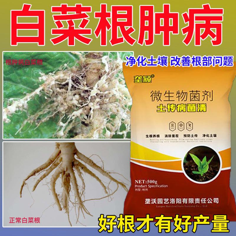 白菜根肿病专用肥料白菜根长疙瘩油菜白菜蔬菜大根病根瘤病水溶肥