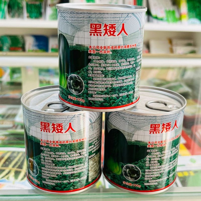 黑叶苏州青种子矮脚束腰青梗菜种子秋冬种植上海青黑矮人青菜种籽