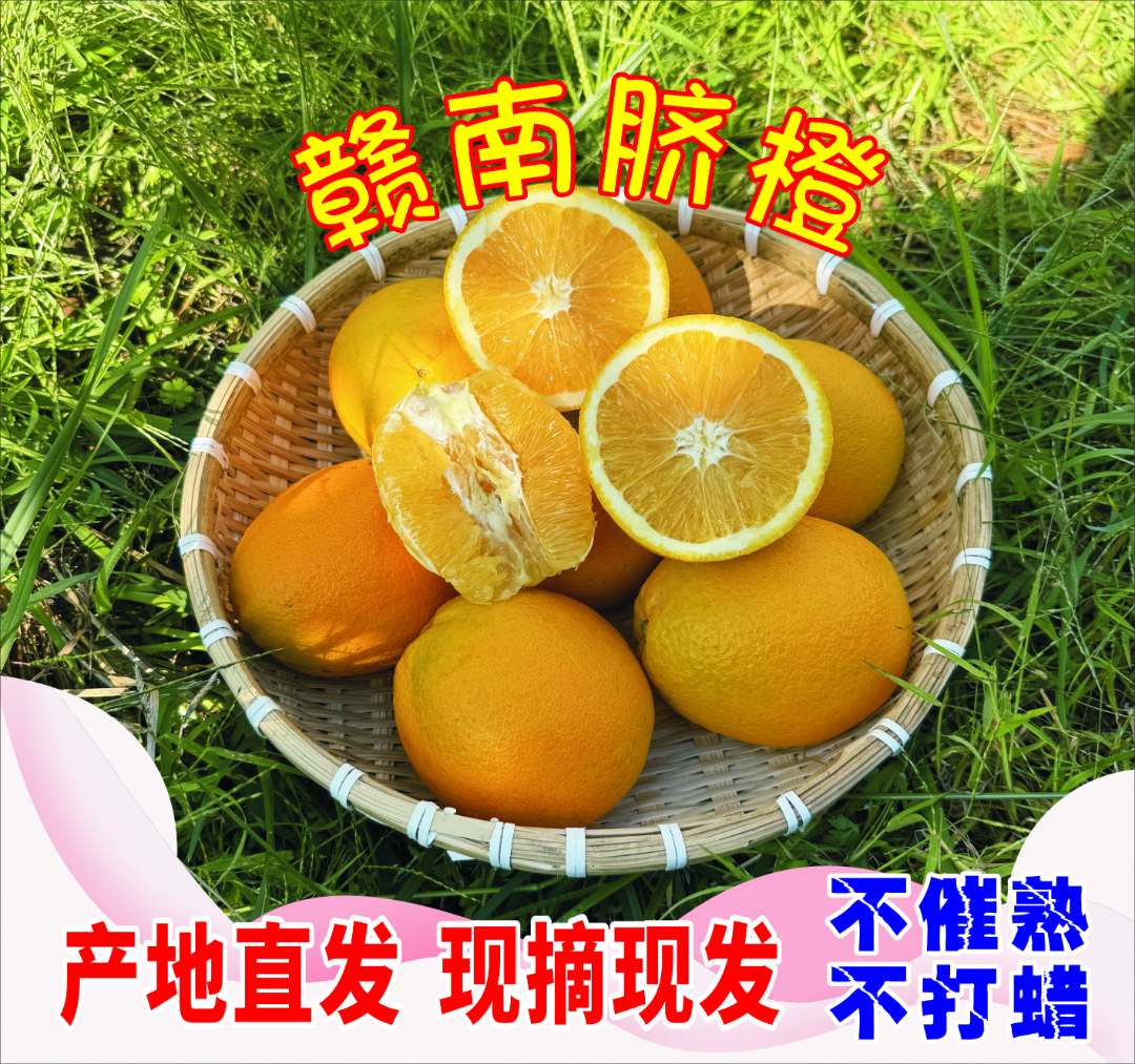 江西正宗赣南脐橙现摘现发