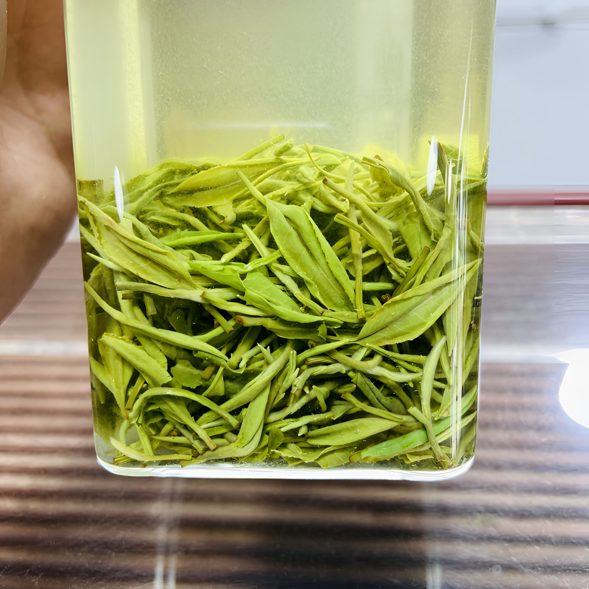 2025信阳高山毛尖  1 春茶芽叶 好喝耐泡 滋味醇厚口粮茶