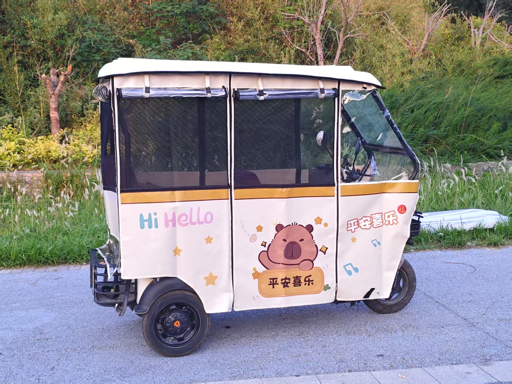 电动三轮车休闲小巴士加厚刀刮布UV打印卡通图案四季通用单独雨帘