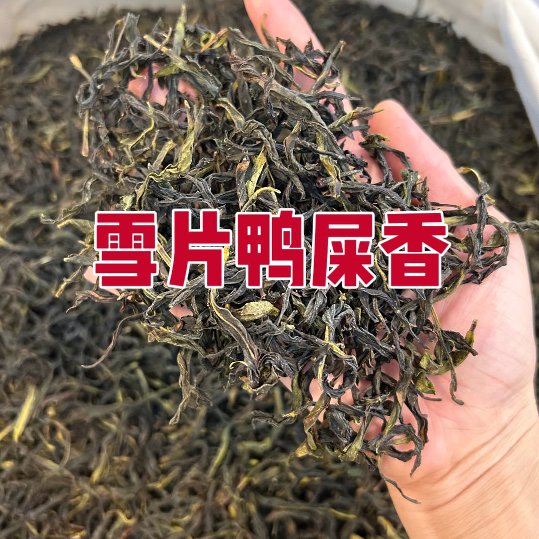 雪片鸭屎香凤凰单丛茶花香回甘清香型鸭屎香茶