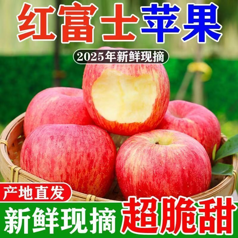 正宗产地直发包邮红富士苹果新鲜脆甜多汁冰糖心其他根茎