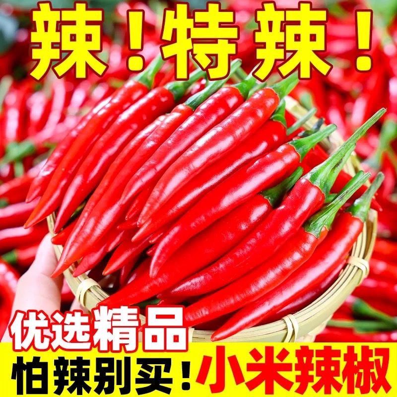 5斤小米椒辣椒新鲜小米椒现摘朝天椒特辣指天椒农家香辣超低价