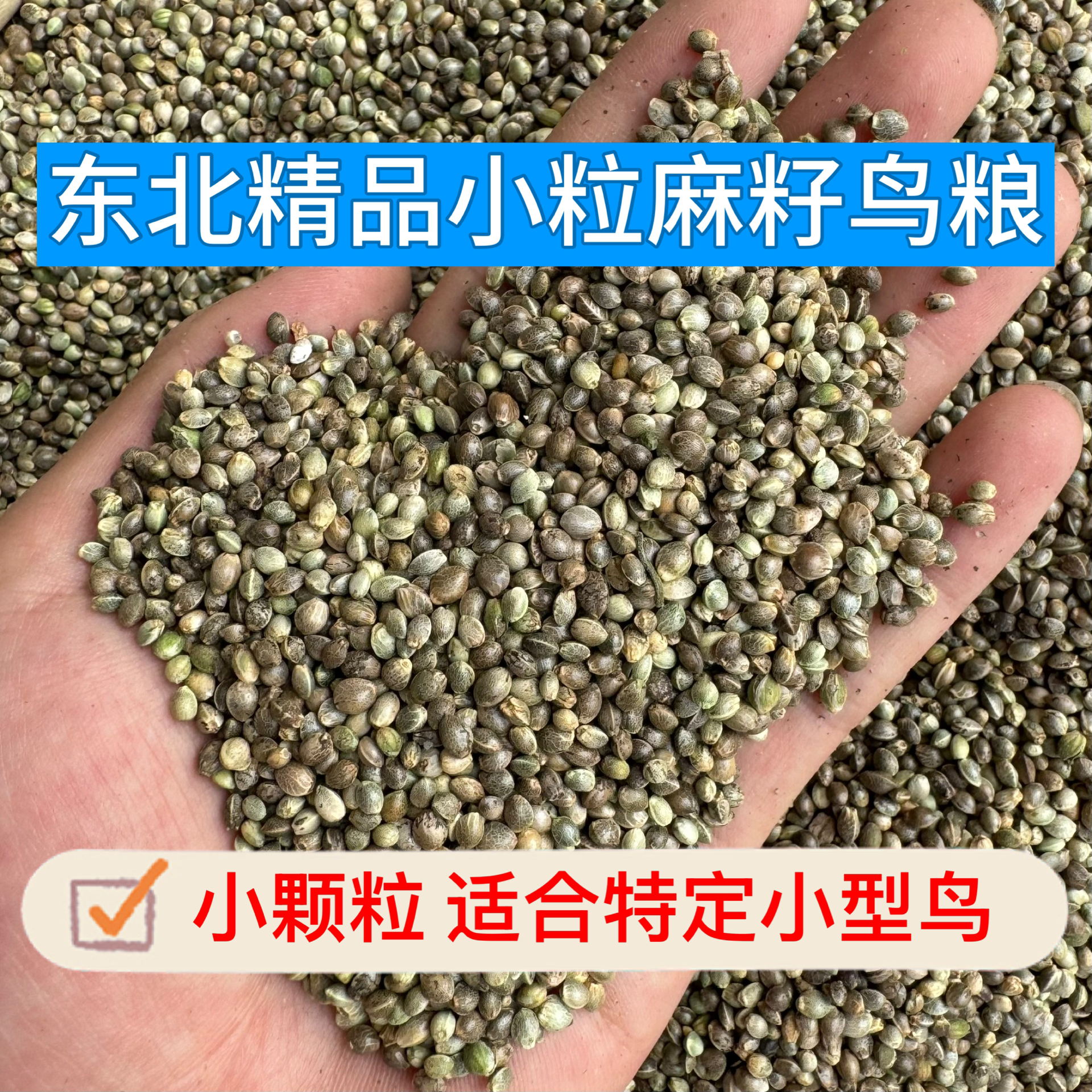2025新东北小粒麻籽鸟粮鸟食麻子鹦鹉粮鸽粮仓鼠玉鸟芙蓉鸟等包邮
