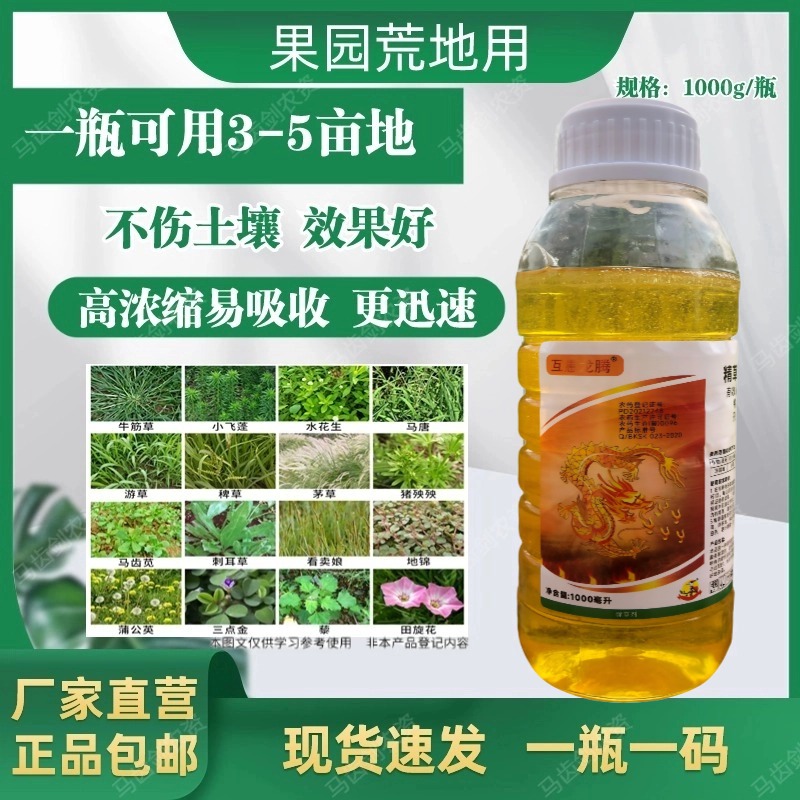 高含量抗性杂草牛筋草小飞蓬果园田埂适用精草铵膦铵盐强力除草剂