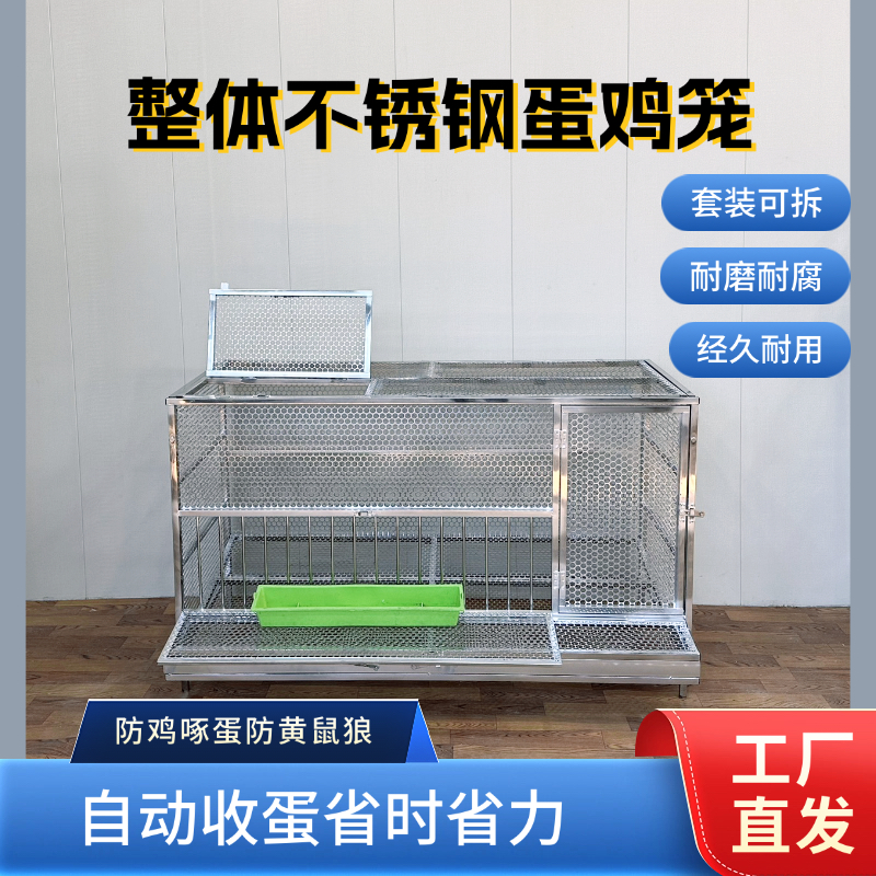 不锈钢蛋鸡笼自动滚蛋防鸡啄加密网孔户外防黄鼠狼养殖鸡笼子