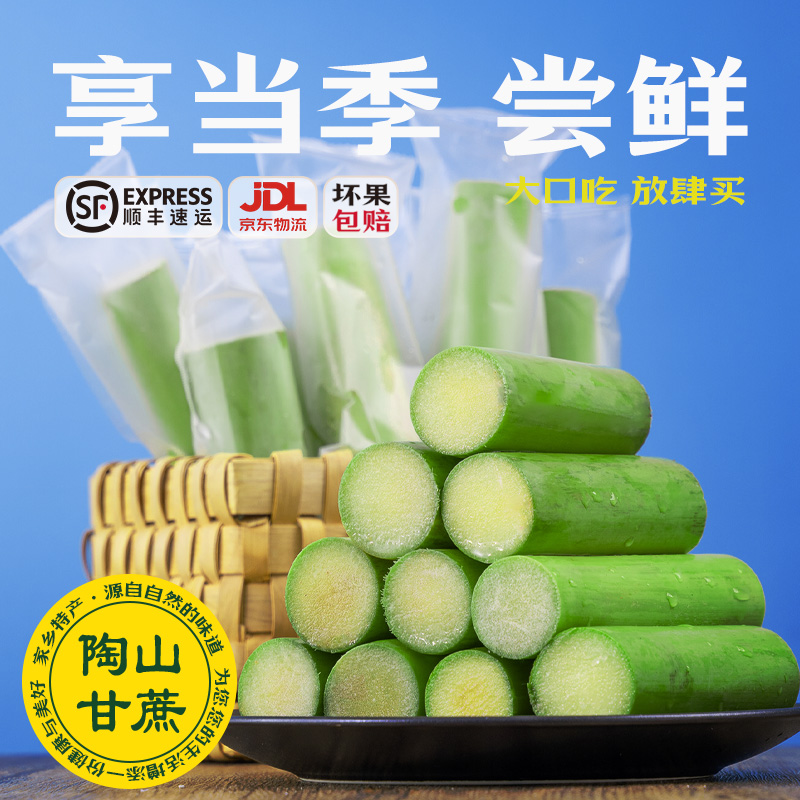 陶山甘蔗新鲜绿皮甘蔗  当季青皮甘蔗3-5斤果肉装 清甜多汁一果结