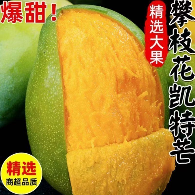 【蕊蕊专属】攀枝花凯特芒果带箱9-10斤装单果500g+ 特大果5-10个