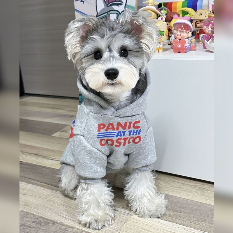 宠物狗潮牌衣服泰迪比熊雪纳瑞专用两脚加绒连帽卫衣中小型犬XF