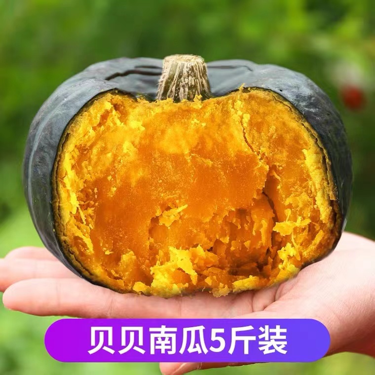 【侬乡食】内蒙古麻籽/贝王爷/惠和贝贝南瓜5斤装（约4-10个）