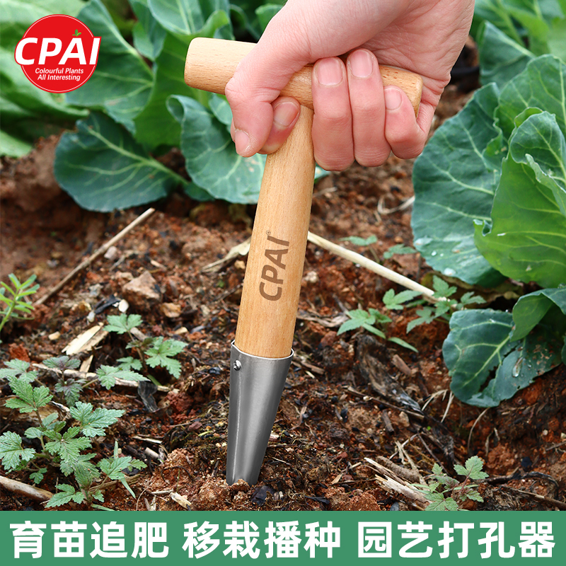 CPAI播种打洞器移苗追肥不锈钢园艺种菜育苗种花播籽器工具种苗