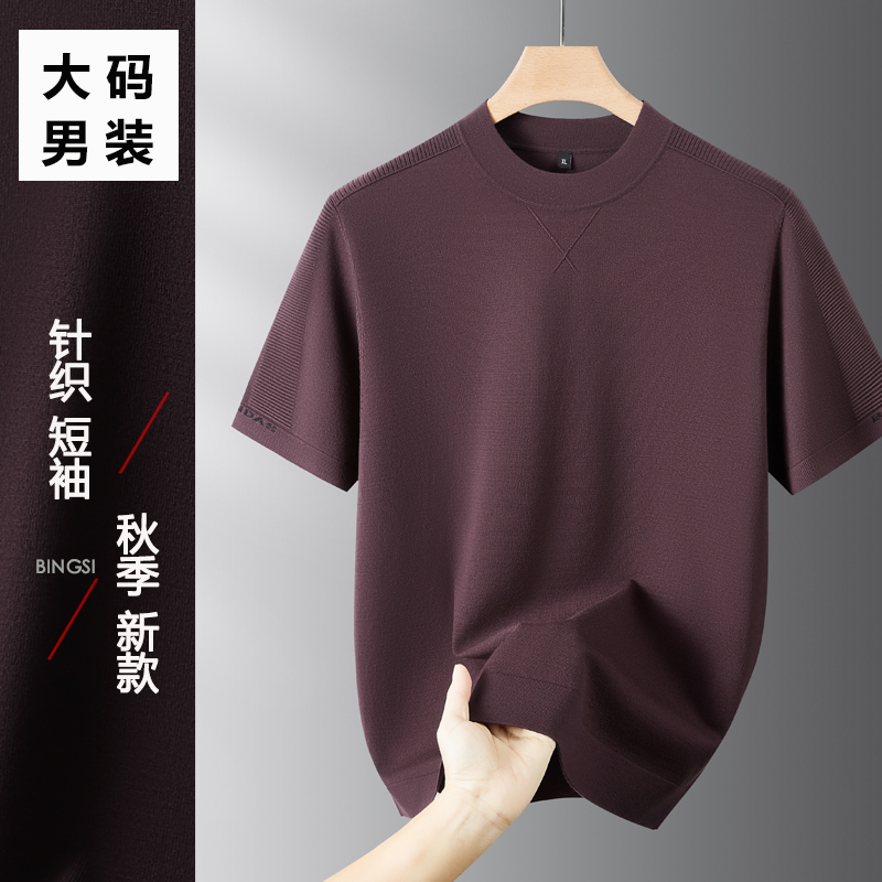 针织短袖男士秋季新款大码男装休闲宽松圆领透气时尚半袖男毛衣