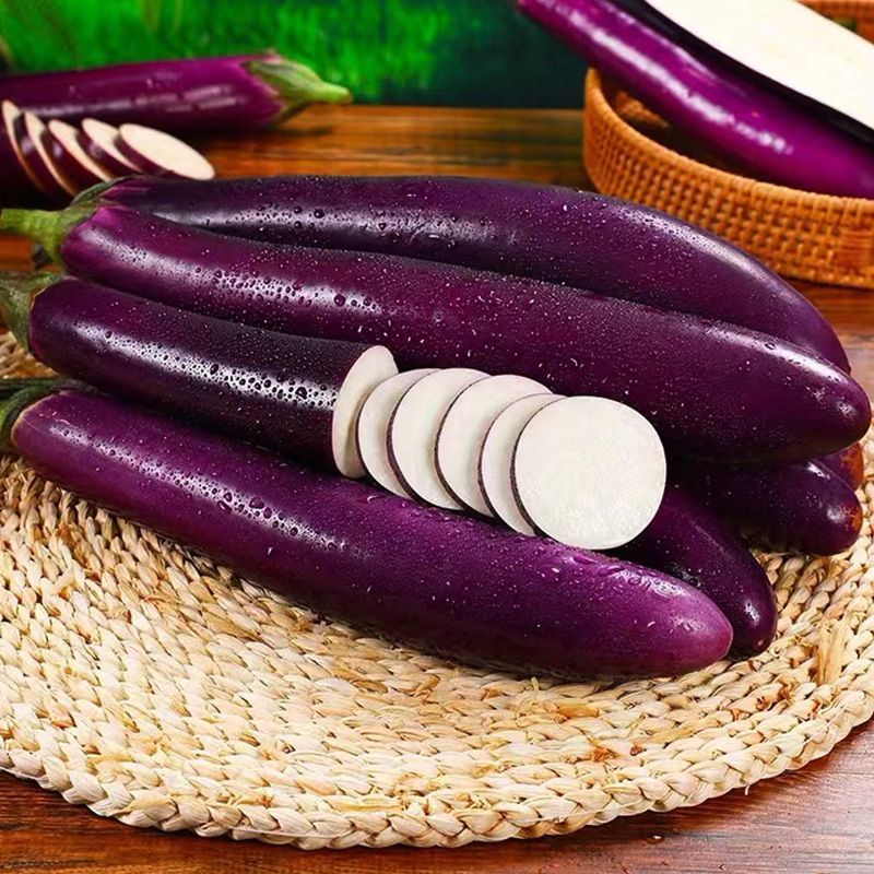 云南当季新鲜蔬菜紫皮长茄子农家露天种植整箱批发