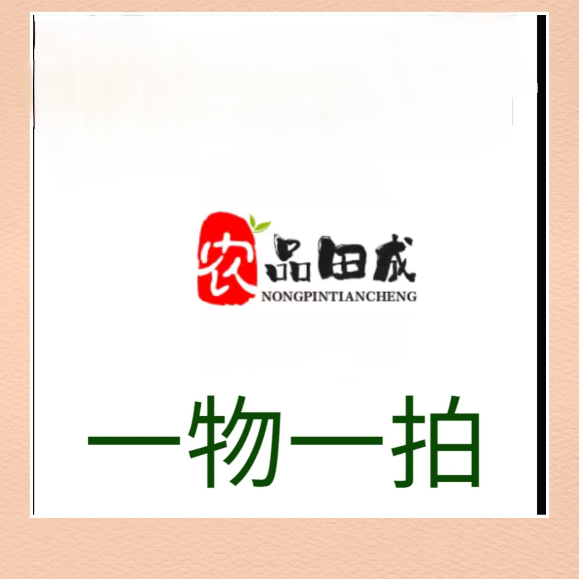 南北盆栽地栽庭院花台阳台