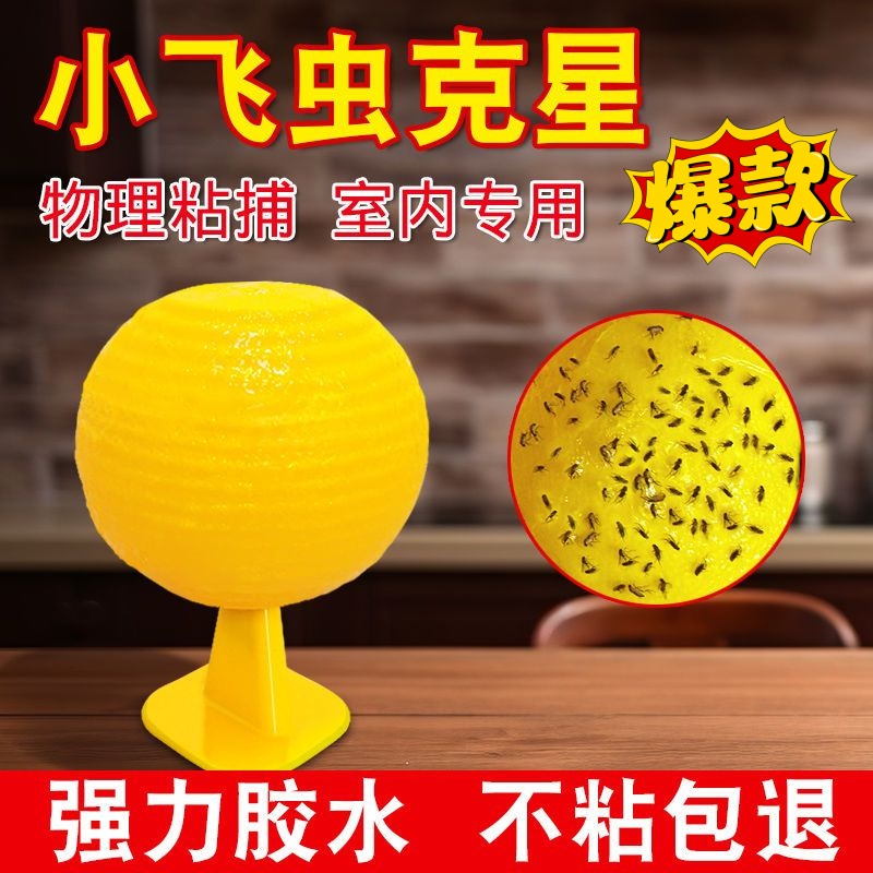 室内飞虫克星粘小飞虫神器飞虫一扫光苍蝇捕捉器家用水果店厨房用