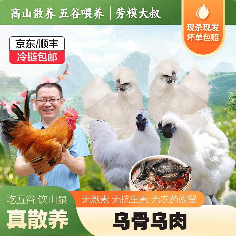[买2赠1]【秋收季】(白凤乌鸡)散养白凤乌鸡单只净重600-900g